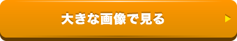 大きな画像で見る